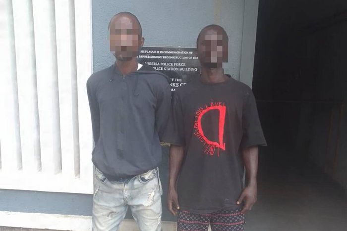 Lagos fraudster warns woman she'd become Lot’s wife in the Bible during scam  [Twitter:@BenHundeyin]