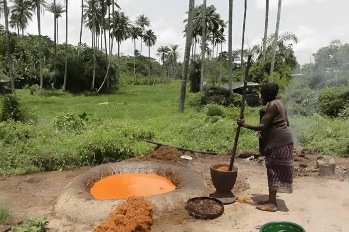 The suspect has been arrested (Image used for illustrative purposes) [Medium]