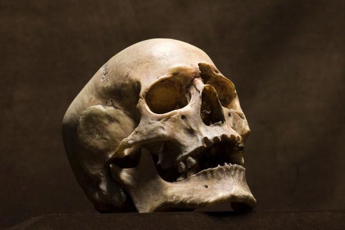 Man finds human skull in front of his house