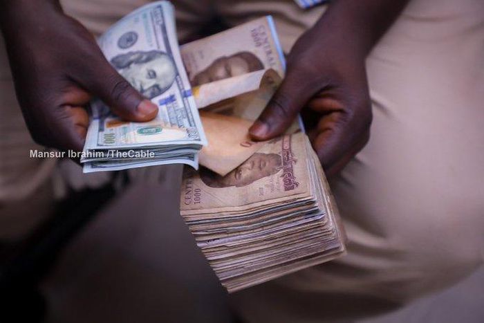 No plans to convert $30bn domiciliary deposits to naira - CBN calms Nigerians [The Cable]