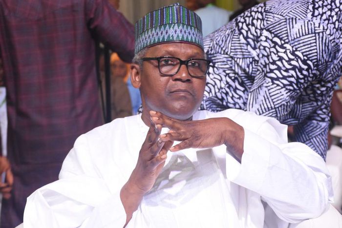 Aliko Dangote.Adam Abu-bashal/Getty Images