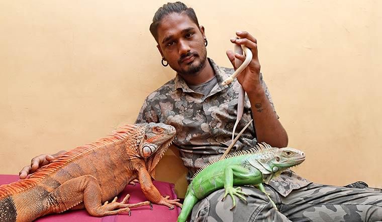 Many exotic pets are dangerous [TheWeek]