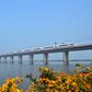 Danyang-Kunshan Grand Bridge [Engineering Clicks]