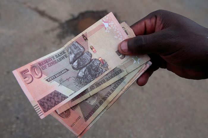 Zimbabwean dollars (image used for illustration) [Reuters]