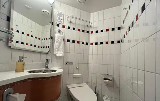 The half bathroom included a toilet and a sink. Lauren Mack