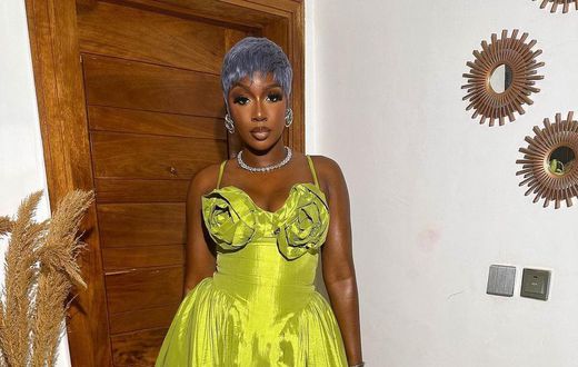 Tolani Baj says that she is disappointed that Avala did not reach out to her before calling her out [Instagram/Tolanibaj]