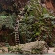 We descended down moss-covered wooden ladders to get to Mooney Falls.Bernadette Rankin