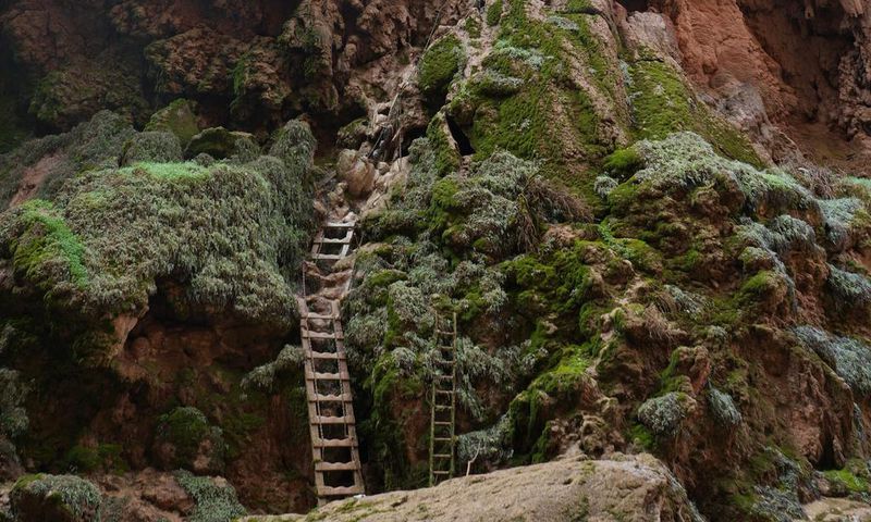 We descended down moss-covered wooden ladders to get to Mooney Falls.Bernadette Rankin