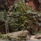 We descended down moss-covered wooden ladders to get to Mooney Falls.Bernadette Rankin