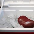 Kidney on ice [The Onion]