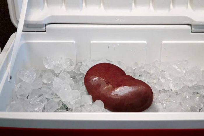 Kidney on ice [The Onion]
