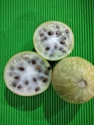 Ancient watermelons [Facebook]