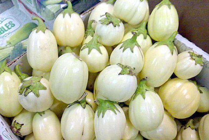 Garden eggs [my Africa Caribbean]