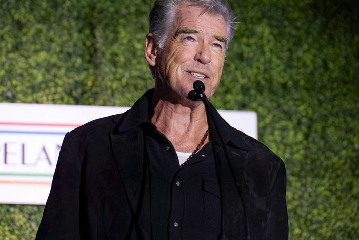 Pierce Brosnan.JC Olivera/Variety/Getty Images