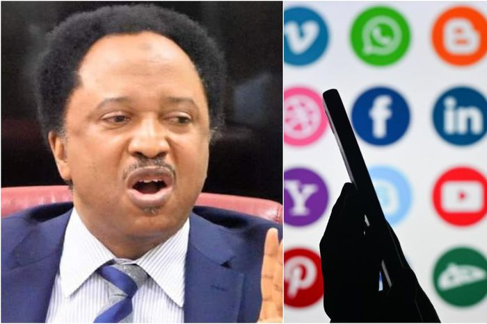 Senator Shehu Sani. [Facebook/Getty Images]