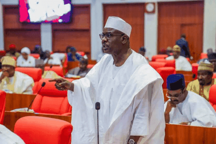 Senator Ndume Ali wants IGP to withdraw officers attached to politicians, and their families. [Punch]