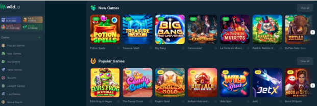 Wild.Io Casino- Best For Great Customer Service