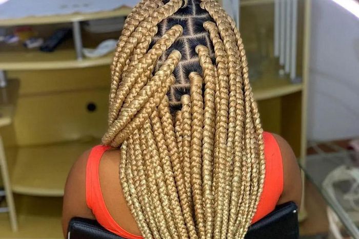 Box braids by Braiding Magic