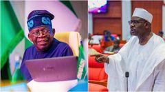 Bola Tinubu and Ali Ndume [Facebook]