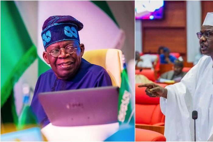 Bola Tinubu and Ali Ndume [Facebook]