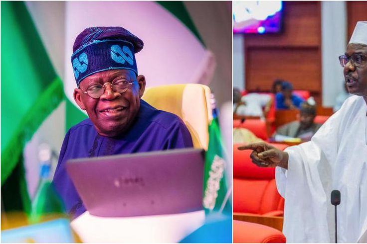 Bola Tinubu and Ali Ndume [Facebook]