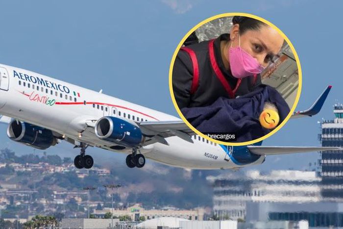 Woman gives birth during a plane ride [Shutterstock/Minh K Tran]