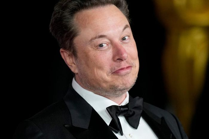 Elon Musk is CEO of Boeing competitor SpaceX.Craig T Fruchtman/Getty Images