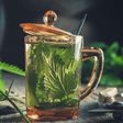 Nettle tea [Shutterstock]