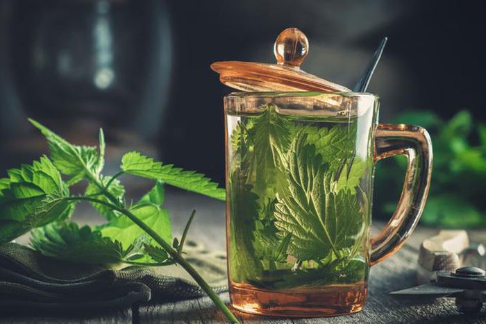 Nettle tea [Shutterstock]