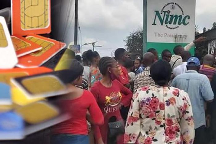 NIMC uncovers 6,000 Niger Republic citizens with illegal NINs in Nigeria’s database