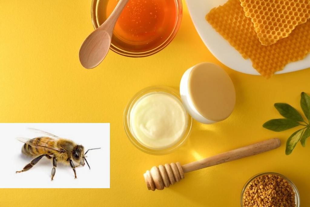 Bees in skincare [Curology]