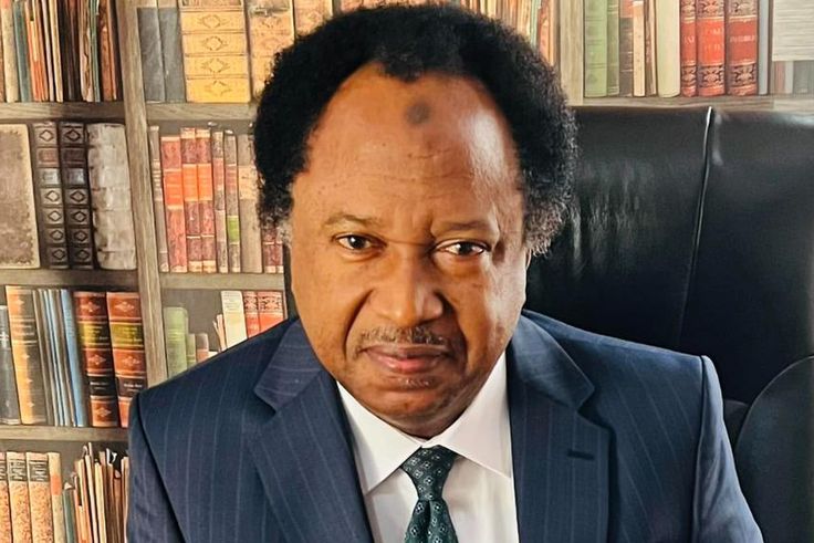 Senator Shehu Sani [Facebook]