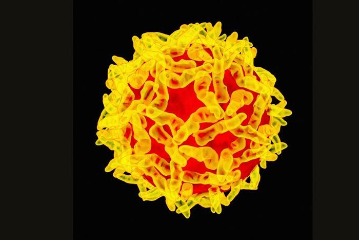 73 reportedly dead as Yellow Fever hit three states (Wired)