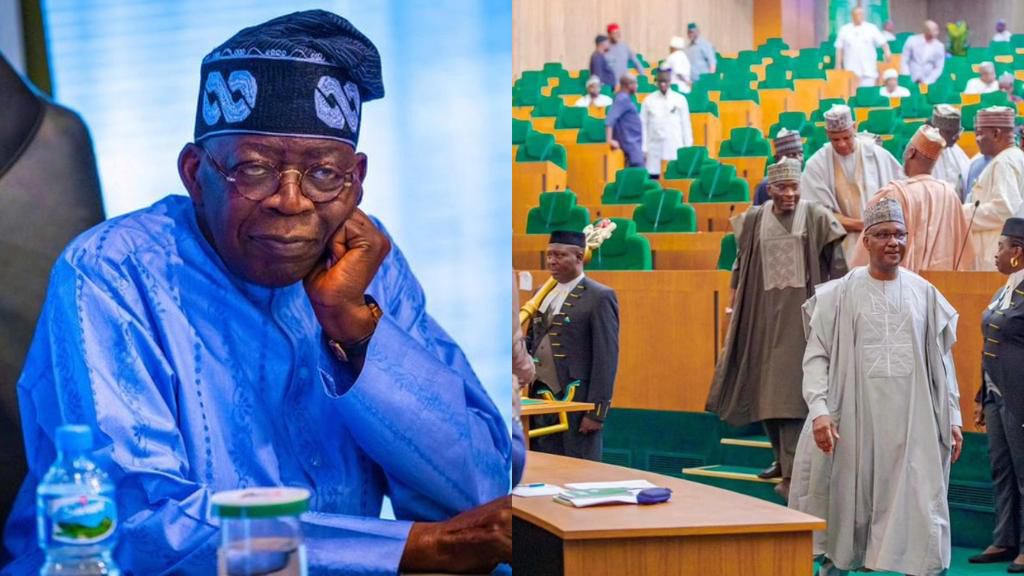 President Bola Tinubu and lawmakers at the House of Reps. [Facebook]