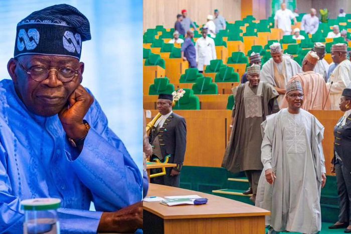 President Bola Tinubu and lawmakers at the House of Reps. [Facebook]