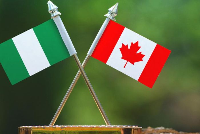 According to IRCC data, India has been the top country of origin for new Canadian citizens since 2005, with 536,279 people gaining citizenship. [Nairametrics]