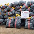NDLEA arrests 2 Ghanaians with 5,344kgs imported skunk consignments in Lagos. [Facebook:NDLEA]