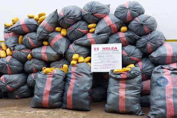 NDLEA arrests 2 Ghanaians with 5,344kgs imported skunk consignments in Lagos. [Facebook:NDLEA]