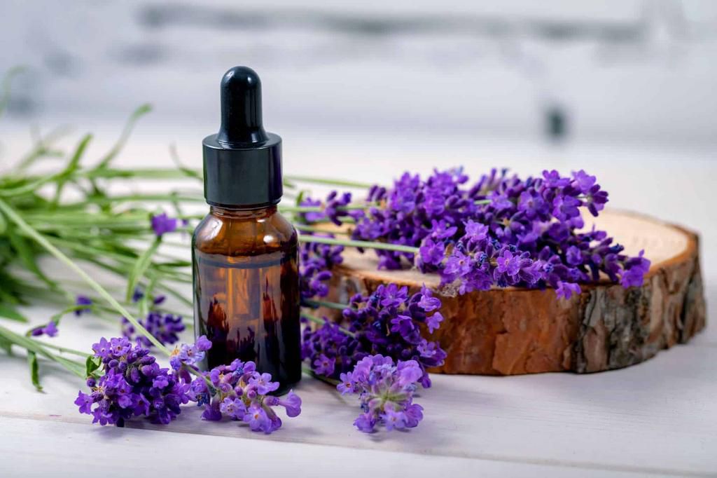 Lavendar essential oil may lower blood pressure [Purpllecom]
