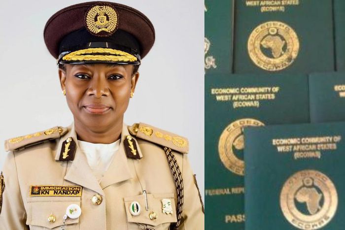 Immigration says efforts to reach owners of 107,646 produced passports futile