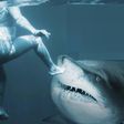 What the shark and your vagina have in common [iStock]