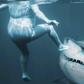 What the shark and your vagina have in common [iStock]