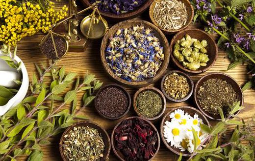 Herbs to heal different organs in your body [Organic Products India]