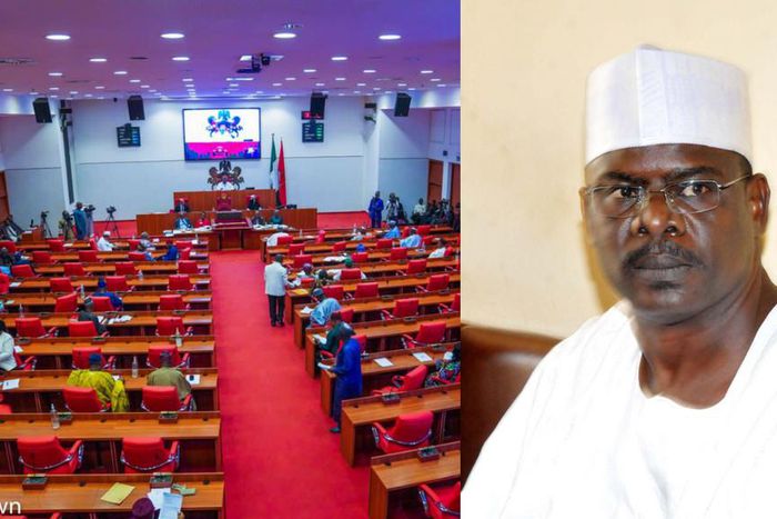 Senator Ali Ndume. [Facebook/Getty Images]