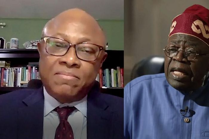 So far, no result to show you came prepared, US-based Prof slams Tinubu