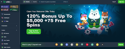 Best 5 Bitcoin Casinos: Top new crypto casinos reviewed in 2024