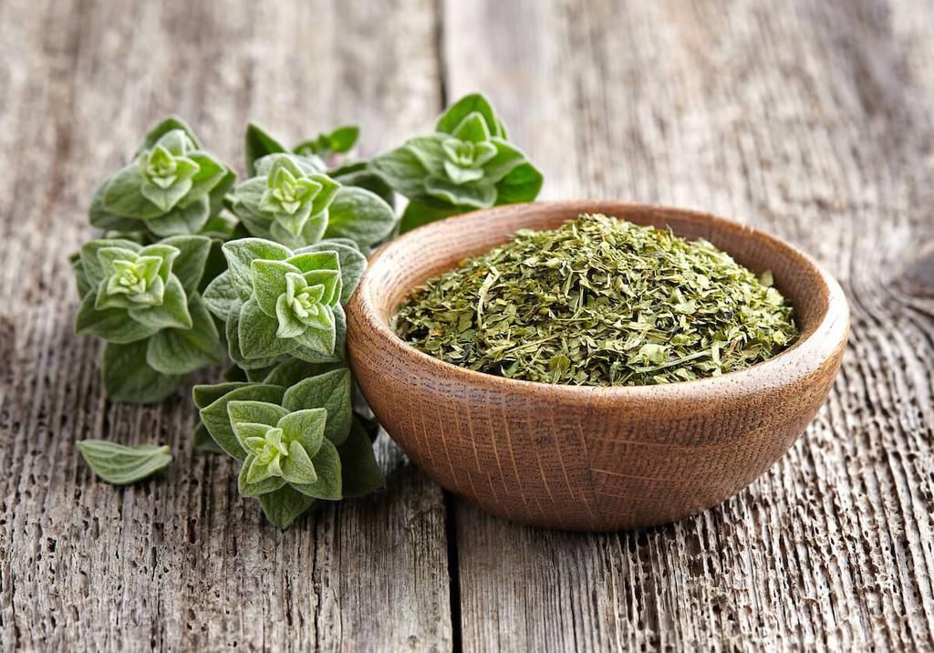 Oregano [Spice Mountain]