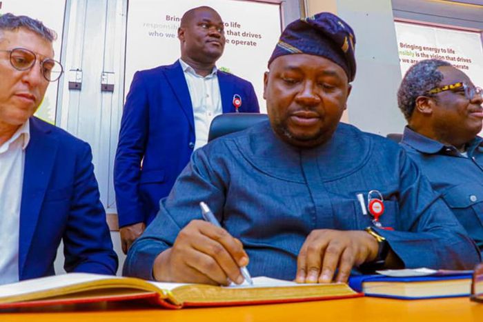 Minister of Power, Adebayo Adelabu. [Facebook]