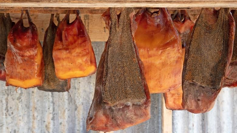 Hákarl, a Greenland fermented shark [DailyMail]