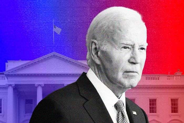 Whoever replaces Joe Biden at the top of the Democratic ticket isn't guaranteed to beat Trump, but it's the party's best shot.Getty Images/BI